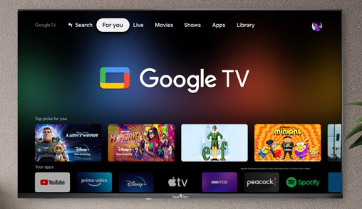 GOOGLE TV Produsent